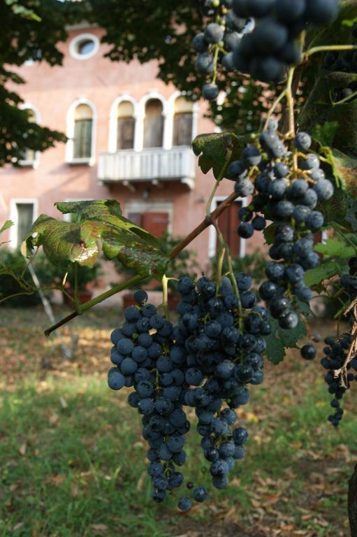 Agriturismo Villa Mocenigo Mirano Eksteriør bilde